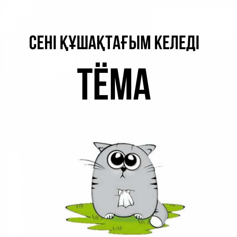 Күн сайын ашық хат с именем, Тёма сені құшақтағым келеді котик теребит платочек сидя на травке Онлайн тегін жүктеп алу тілектері бар керемет карта 