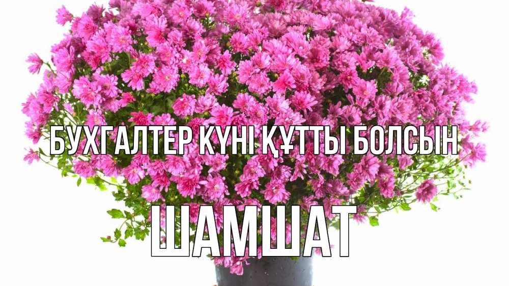 Күн сайын ашық хат с именем, ШАМШАТ бухгалтер күні құтты болсын с днем бухгалтера Онлайн тегін жүктеп алу тілектері бар керемет карта 