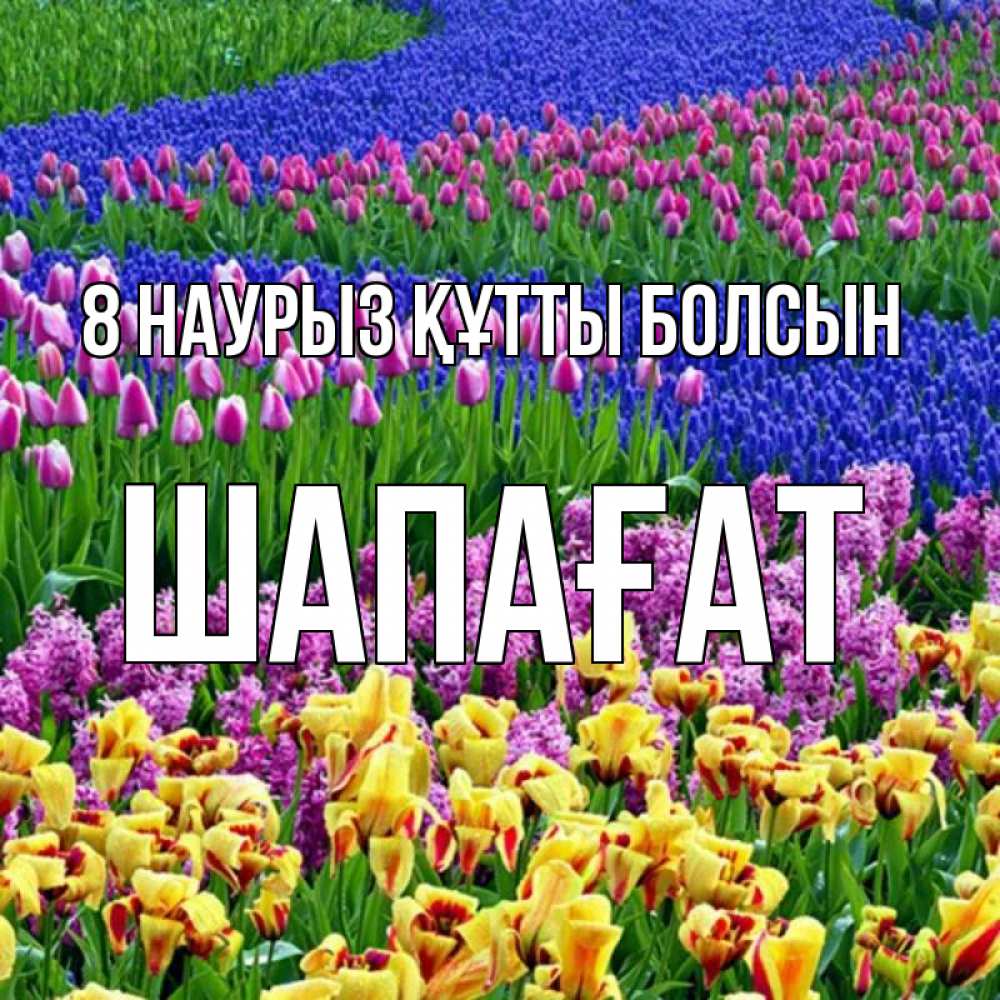Күн сайын ашық хат с именем, ШАПАҒАТ 8 наурыз құтты болсын цветы Онлайн тегін жүктеп алу тілектері бар керемет карта 