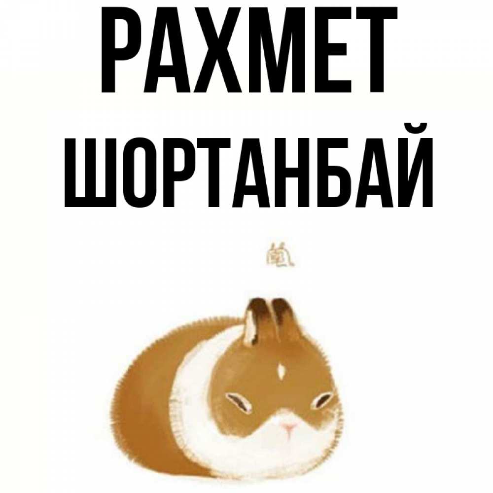 Күн сайын ашық хат с именем, ШОРТАНБАЙ рахмет коричнево белый домашний питомец Онлайн тегін жүктеп алу тілектері бар керемет карта 
