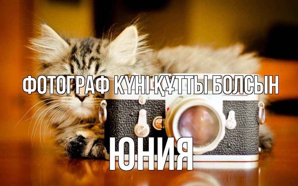 Күн сайын ашық хат с именем, Юния Фотограф күні құтты болсын с днем фотографа Онлайн тегін жүктеп алу тілектері бар керемет карта 