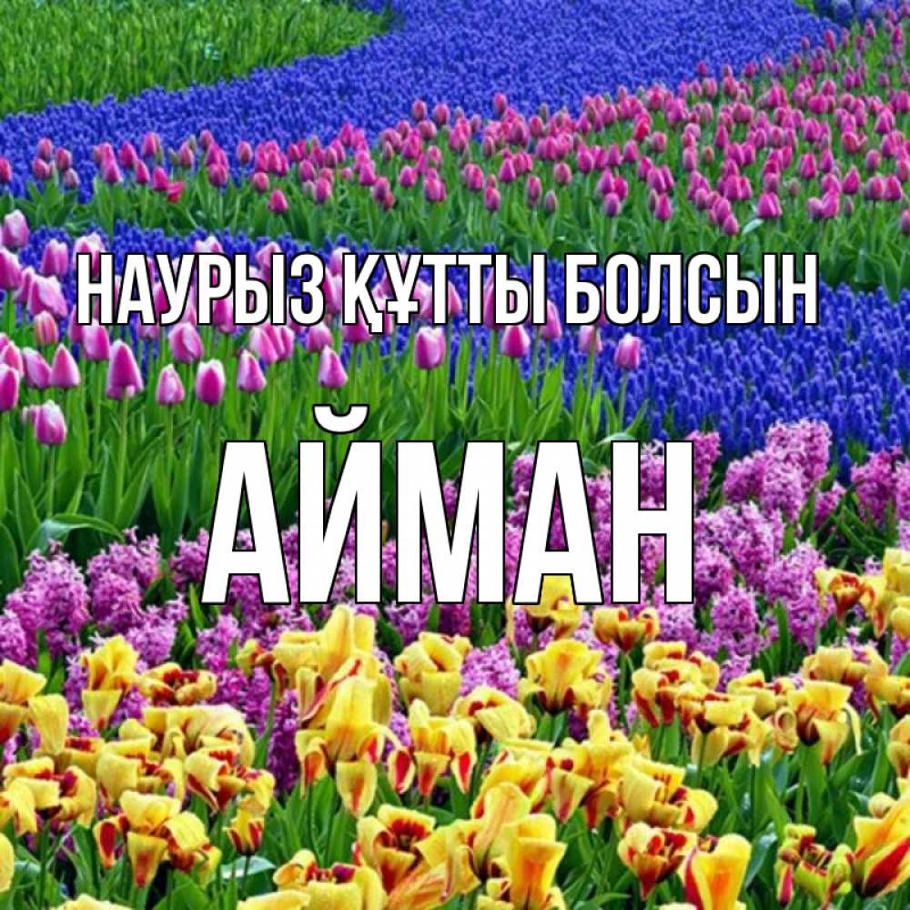 Күн сайын ашық хат с именем, АЙМАН Наурыз құтты болсын цветы Онлайн тегін жүктеп алу тілектері бар керемет карта 