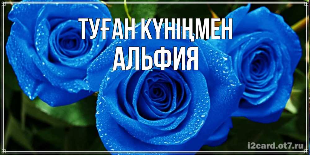Күн сайын ашық хат с именем, Альфия Туған күніңмен розы с синим цветом Онлайн тегін жүктеп алу тілектері бар керемет карта 