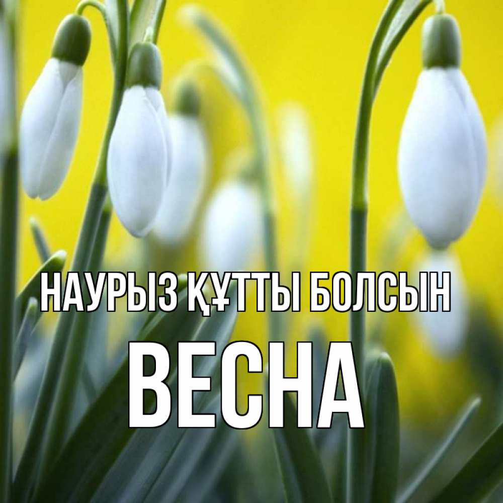 Күн сайын ашық хат с именем, Весна Наурыз құтты болсын весенние цветы Онлайн тегін жүктеп алу тілектері бар керемет карта 
