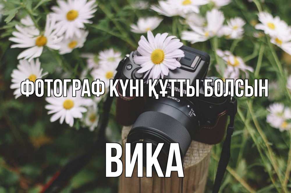 Күн сайын ашық хат с именем, Вика Фотограф күні құтты болсын с днем фотографа Онлайн тегін жүктеп алу тілектері бар керемет карта 