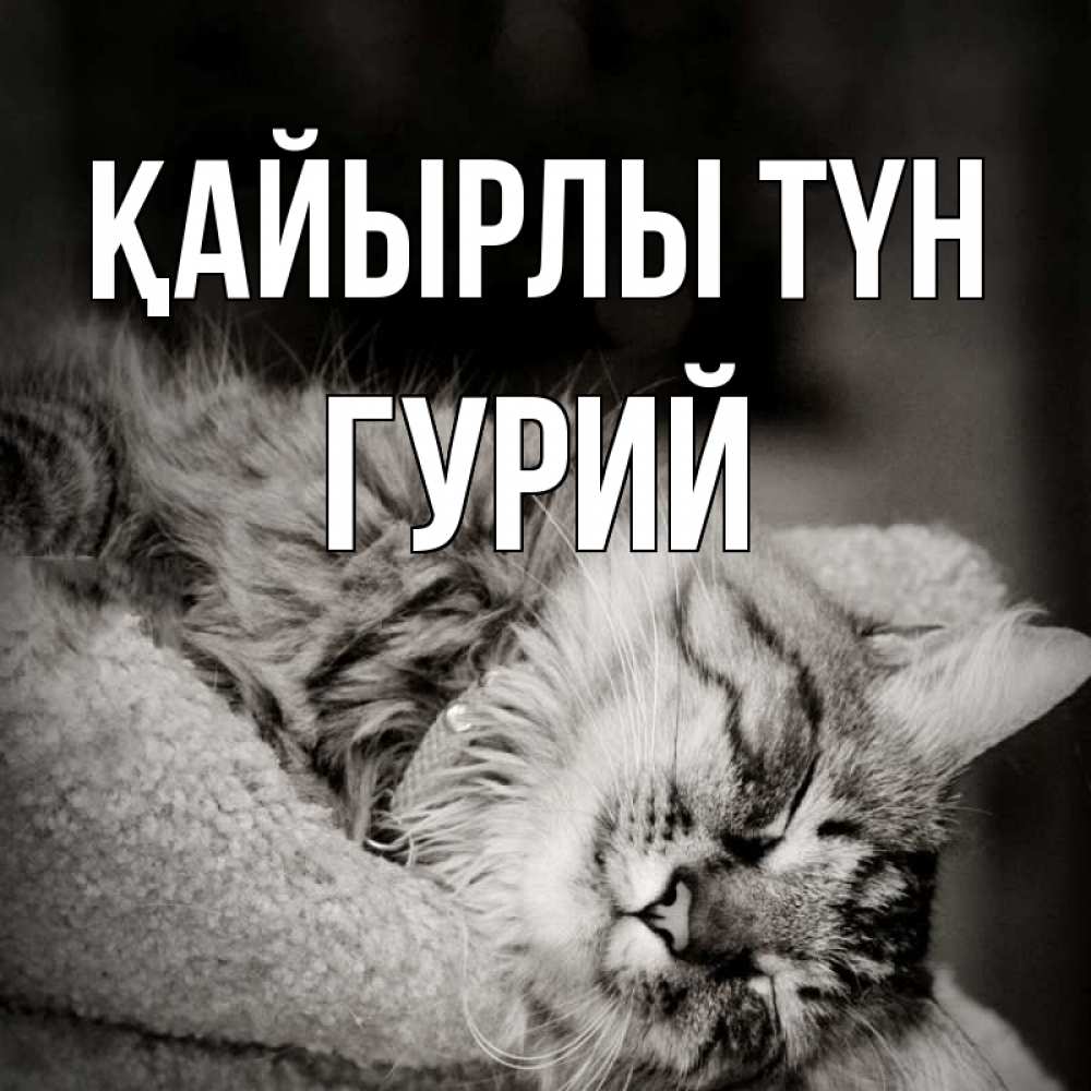 Күн сайын ашық хат с именем, Гурий Қайырлы түн котярик пушистый Онлайн тегін жүктеп алу тілектері бар керемет карта 