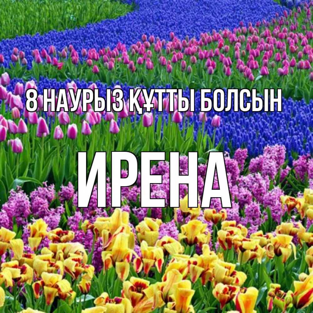 Күн сайын ашық хат с именем, Ирена 8 наурыз құтты болсын цветы Онлайн тегін жүктеп алу тілектері бар керемет карта 