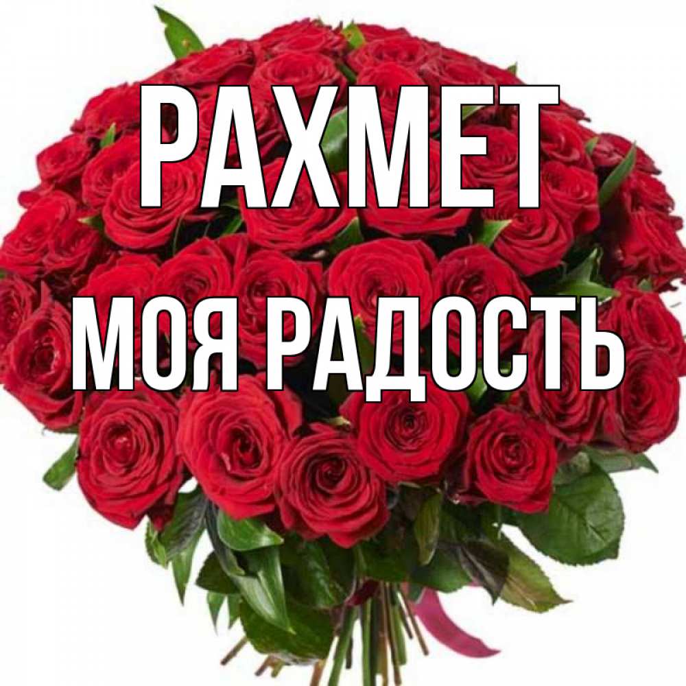 Күн сайын ашық хат с именем, Моя-радость рахмет букет красных роз Онлайн тегін жүктеп алу тілектері бар керемет карта 