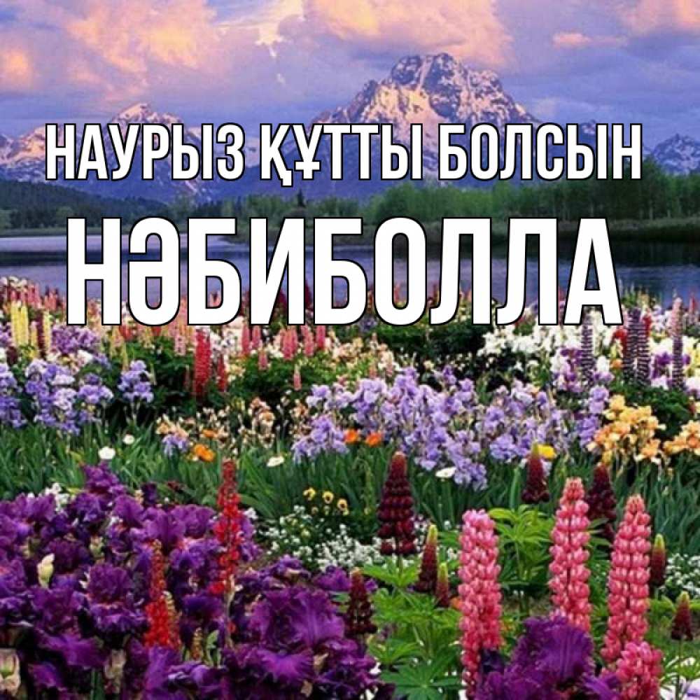 Күн сайын ашық хат с именем, НӘБИБОЛЛА Наурыз құтты болсын наурыз Онлайн тегін жүктеп алу тілектері бар керемет карта 