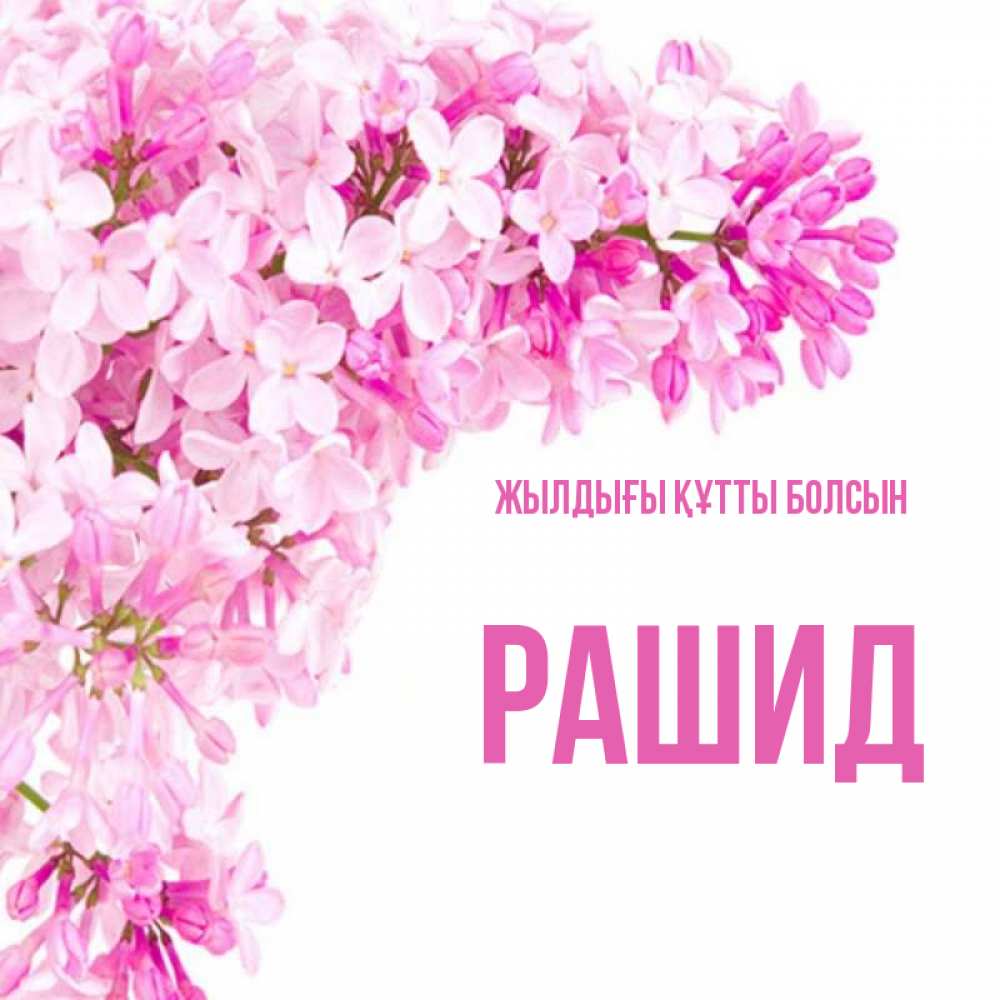 Күн сайын ашық хат с именем, Рашид Жылдығы құтты болсын Сирень на белом фоне Онлайн тегін жүктеп алу тілектері бар керемет карта 