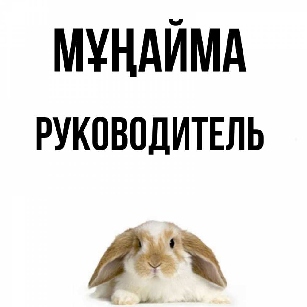 Күн сайын ашық хат с именем, Руководитель Мұңайма коричнево белый заяц с большими ушками Онлайн тегін жүктеп алу тілектері бар керемет карта 