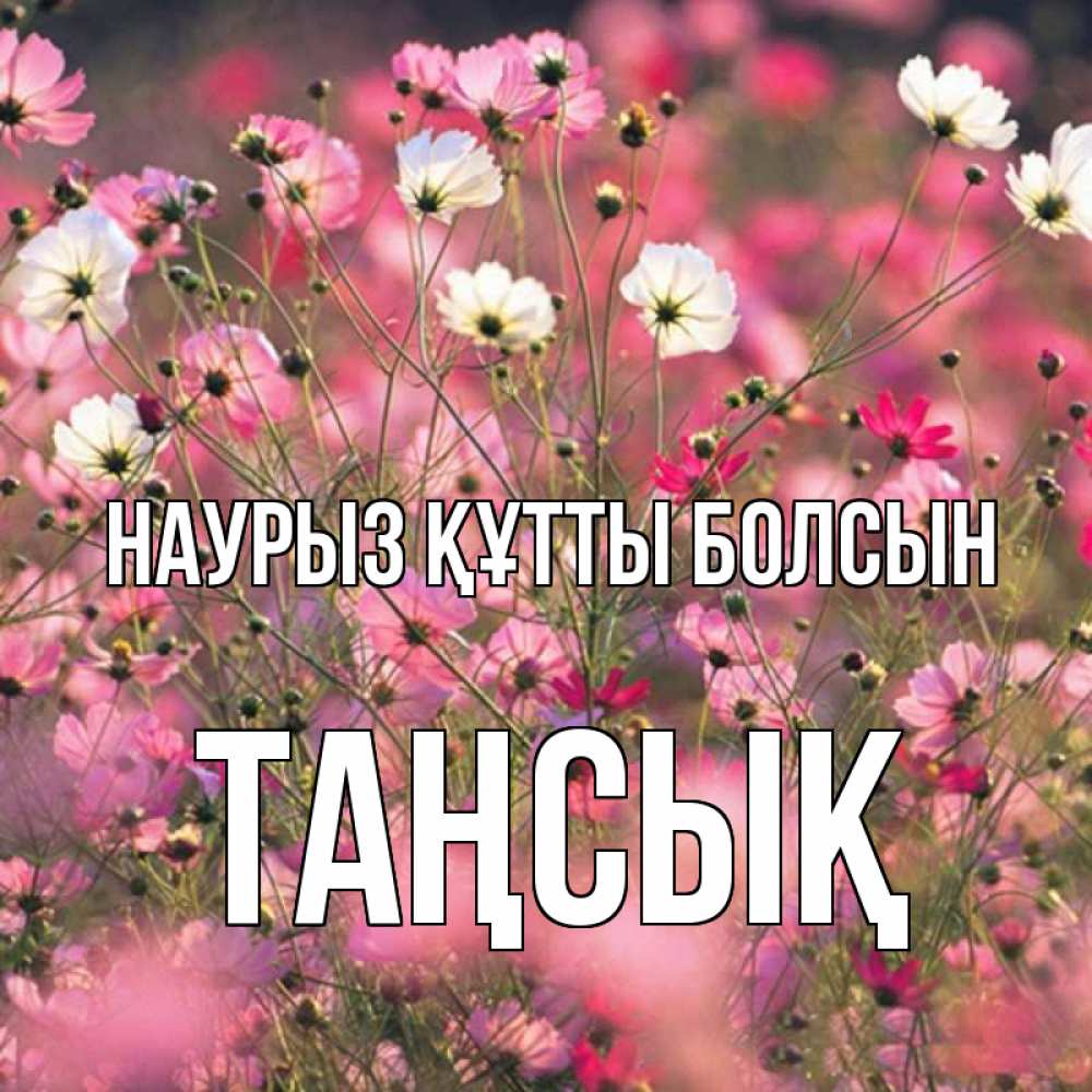 Күн сайын ашық хат с именем, ТАҢСЫҚ Наурыз құтты болсын красиво 1 Онлайн тегін жүктеп алу тілектері бар керемет карта 