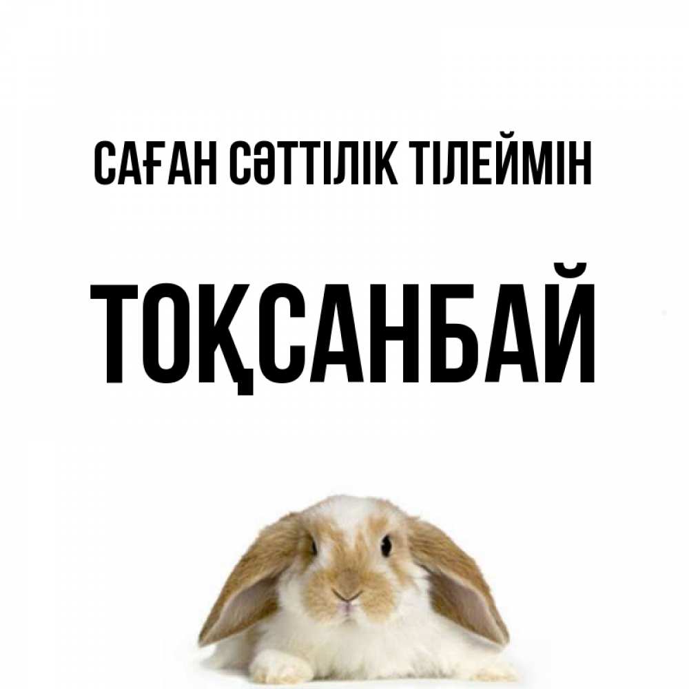 Күн сайын ашық хат с именем, ТОҚСАНБАЙ Саған сәттілік тілеймін открытки с произвольным текстом который можно вставить в открытку и создать ее самостоятельно бесплатно онлайн Онлайн тегін жүктеп алу тілектері бар керемет карта 