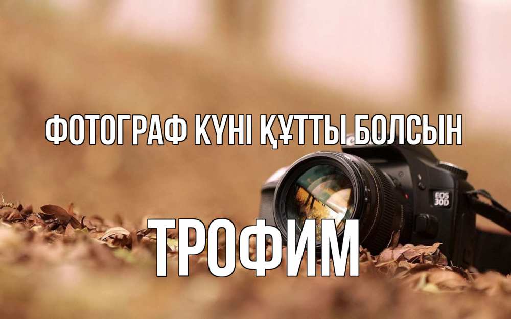 Күн сайын ашық хат с именем, Трофим Фотограф күні құтты болсын с днем фотографа Онлайн тегін жүктеп алу тілектері бар керемет карта 