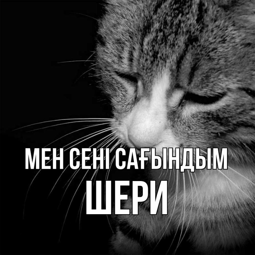 Күн сайын ашық хат с именем, ШЕРИ Мен сені сағындым мне скучно Онлайн тегін жүктеп алу тілектері бар керемет карта 