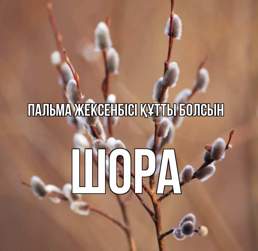 Күн сайын ашық хат с именем, ШОРА Пальма жексенбісі құтты болсын верба Онлайн тегін жүктеп алу тілектері бар керемет карта 