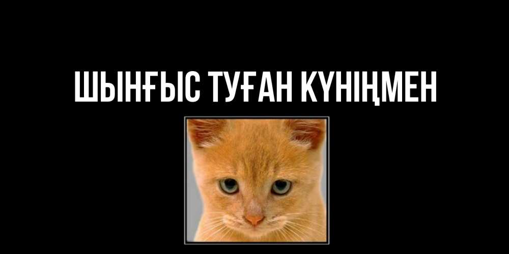 Күн сайын ашық хат с именем, ШЫНҒЫС-ТУҒАН-КҮНІҢМЕН Главная открытки рыжий котенок скучает по тебе Онлайн тегін жүктеп алу тілектері бар керемет карта 