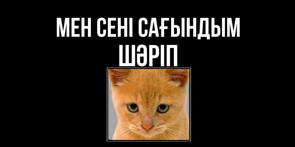 Күн сайын ашық хат с именем, ШӘРІП Мен сені сағындым открытки рыжий котенок скучает по тебе Онлайн тегін жүктеп алу тілектері бар керемет карта 