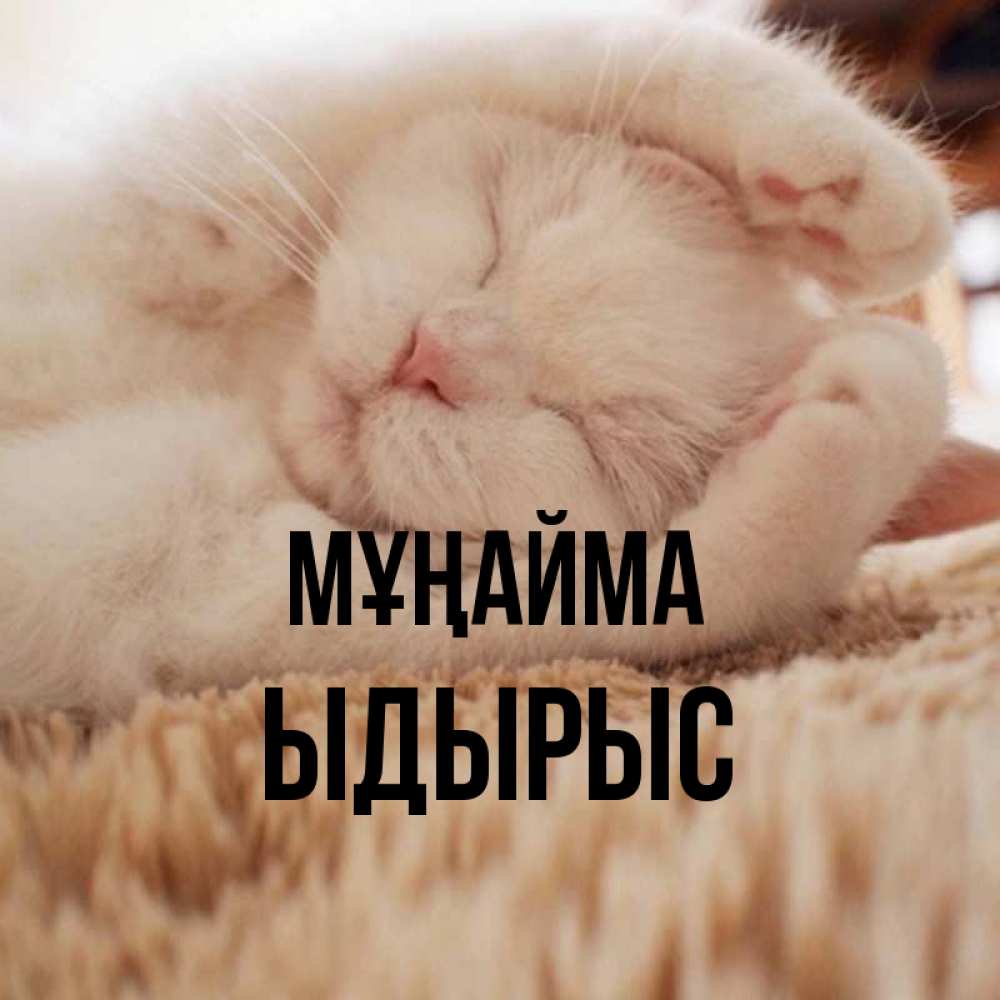 Күн сайын ашық хат с именем, ЫДЫРЫС Мұңайма Котенок спит Онлайн тегін жүктеп алу тілектері бар керемет карта 