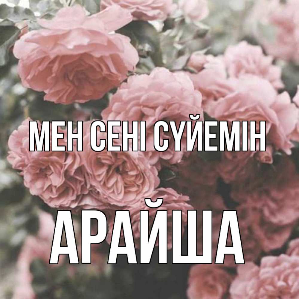 Күн сайын ашық хат с именем, АРАЙША Мен сені сүйемін розы 3 Онлайн тегін жүктеп алу тілектері бар керемет карта 