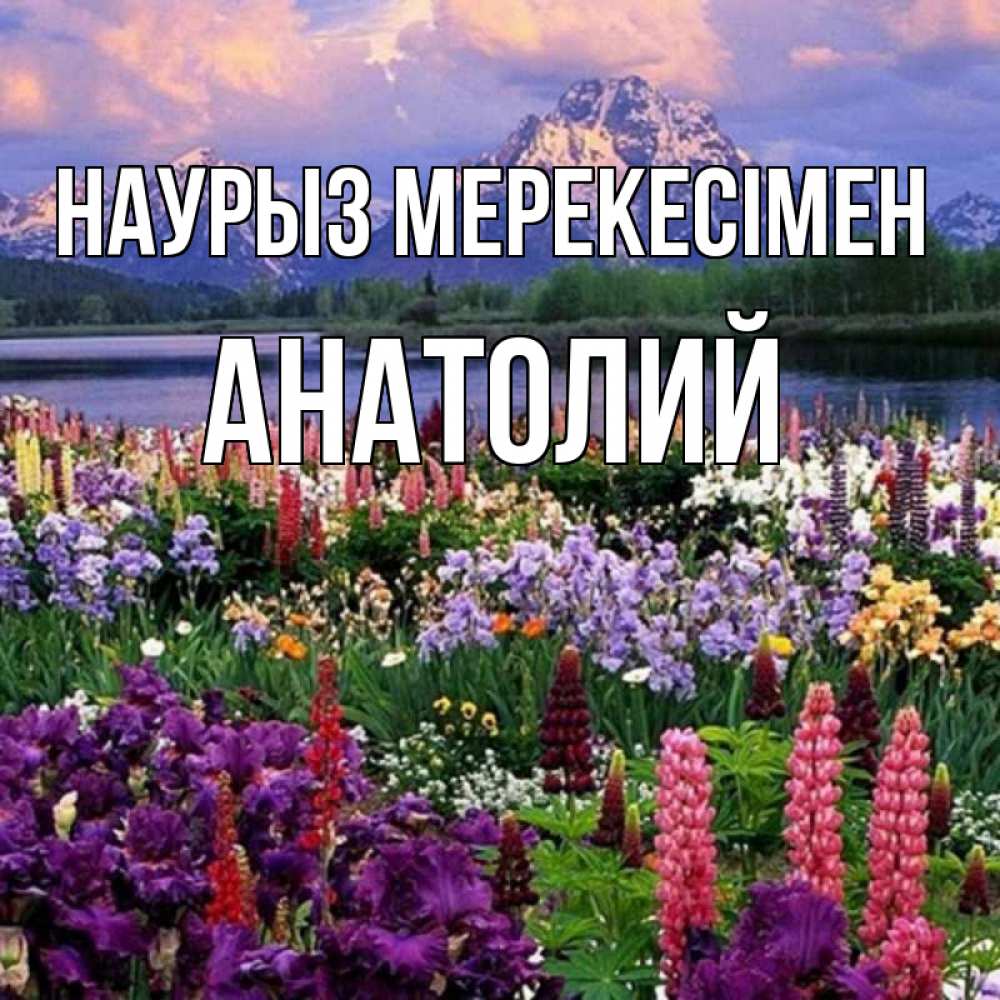 Күн сайын ашық хат с именем, Анатолий Наурыз мерекесімен праздник весны наурыз Онлайн тегін жүктеп алу тілектері бар керемет карта 