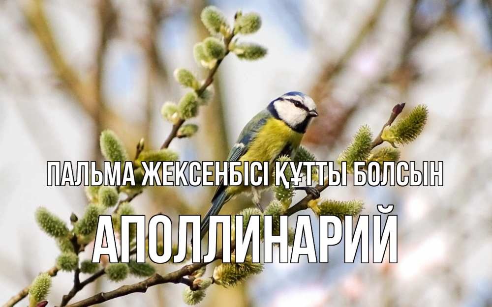 Күн сайын ашық хат с именем, Аполлинарий Пальма жексенбісі құтты болсын верба Онлайн тегін жүктеп алу тілектері бар керемет карта 