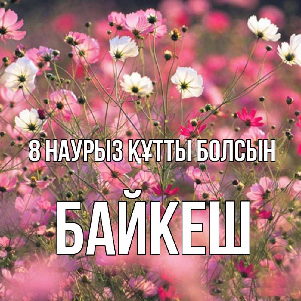 Күн сайын ашық хат с именем, Байкеш 8 наурыз құтты болсын красиво 1 Онлайн тегін жүктеп алу тілектері бар керемет карта 