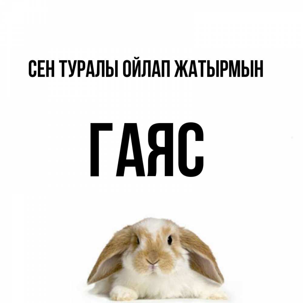 Күн сайын ашық хат с именем, Гаяс Сен туралы ойлап жатырмын подписать своими руками онлайн Онлайн тегін жүктеп алу тілектері бар керемет карта 