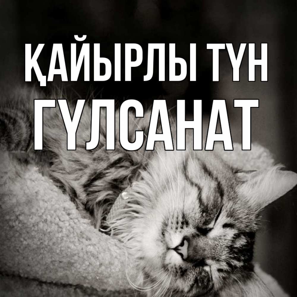 Күн сайын ашық хат с именем, ГҮЛСАНАТ Қайырлы түн котярик пушистый Онлайн тегін жүктеп алу тілектері бар керемет карта 