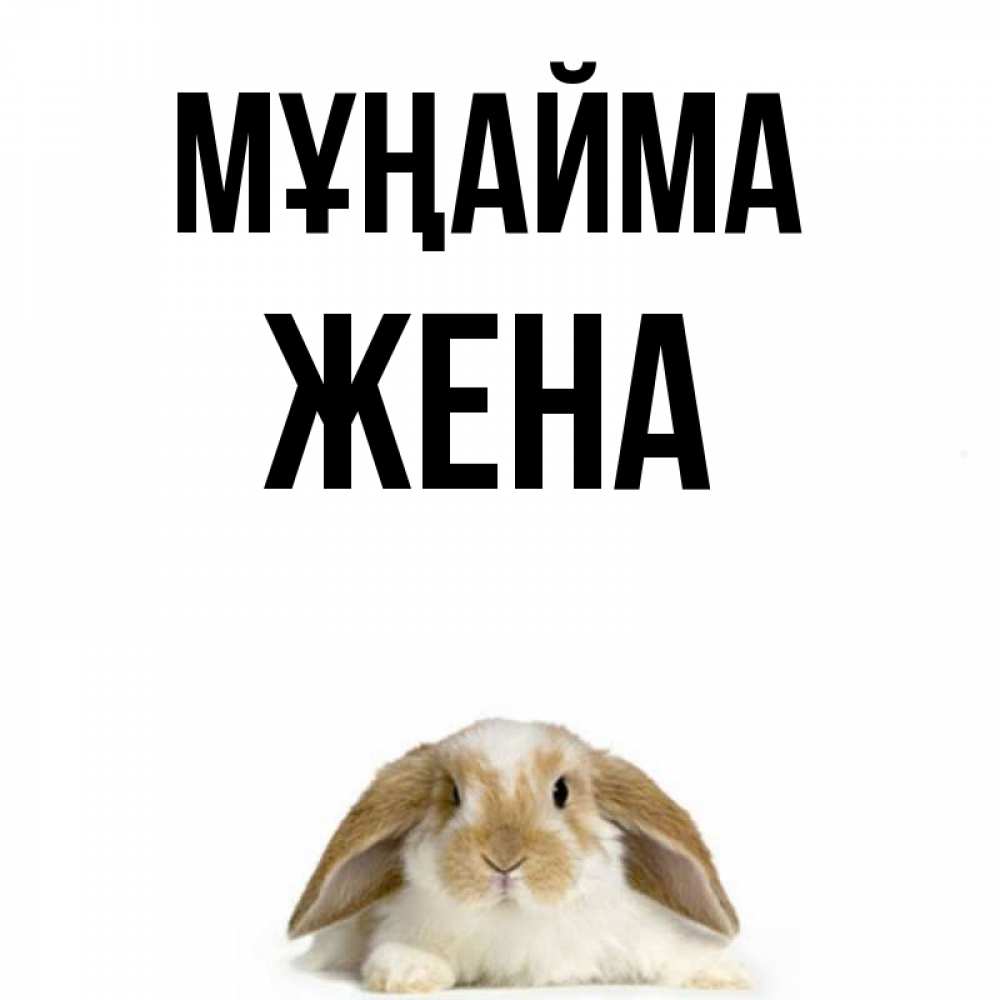 Күн сайын ашық хат с именем, Жена Мұңайма коричнево белый заяц с большими ушками Онлайн тегін жүктеп алу тілектері бар керемет карта 