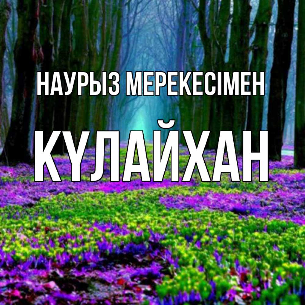 Күн сайын ашық хат с именем, КҮЛАЙХАН Наурыз мерекесімен фиолетовые цветы в лесу 1 Онлайн тегін жүктеп алу тілектері бар керемет карта 