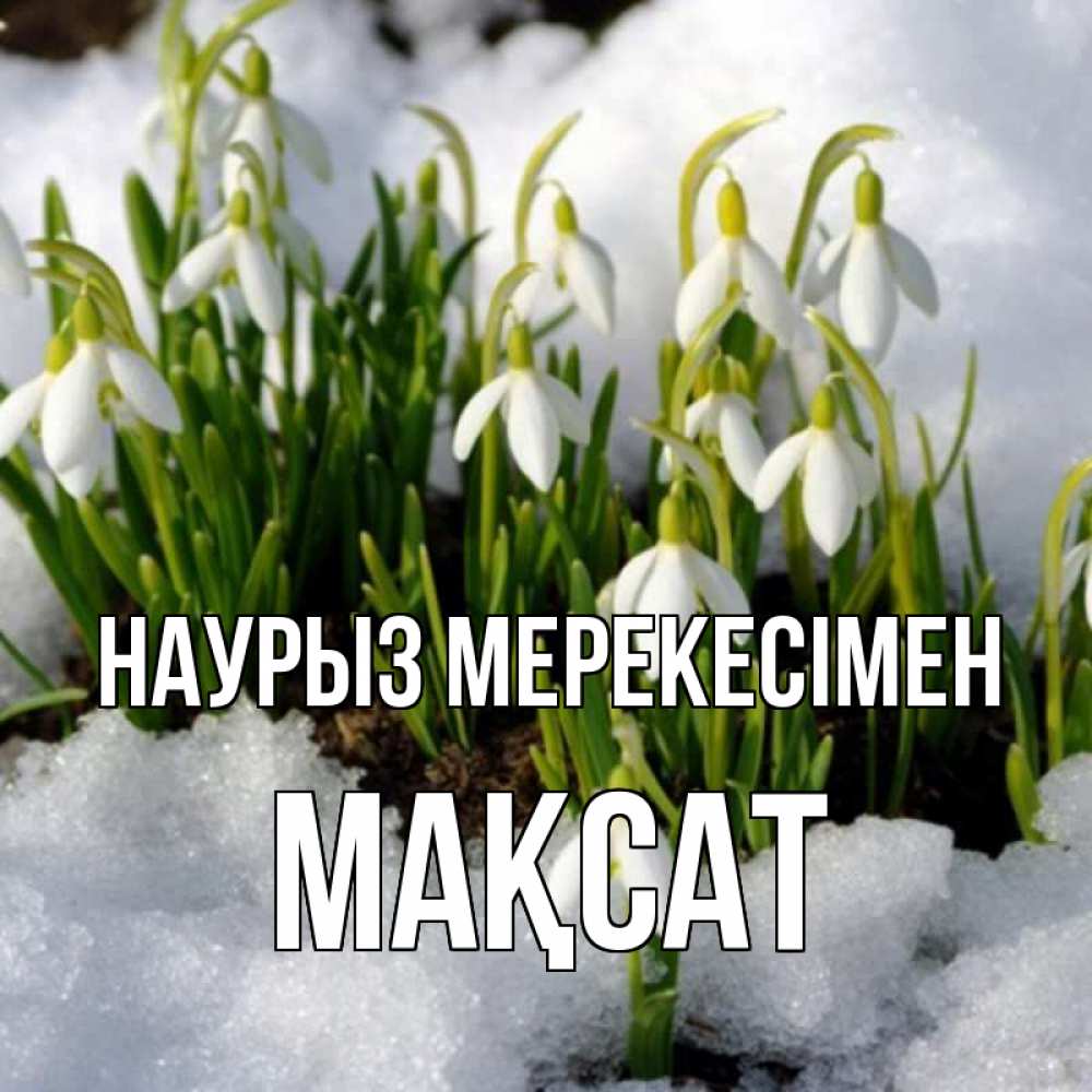 Күн сайын ашық хат с именем, МАҚСАТ Наурыз мерекесімен цветы весенние Онлайн тегін жүктеп алу тілектері бар керемет карта 