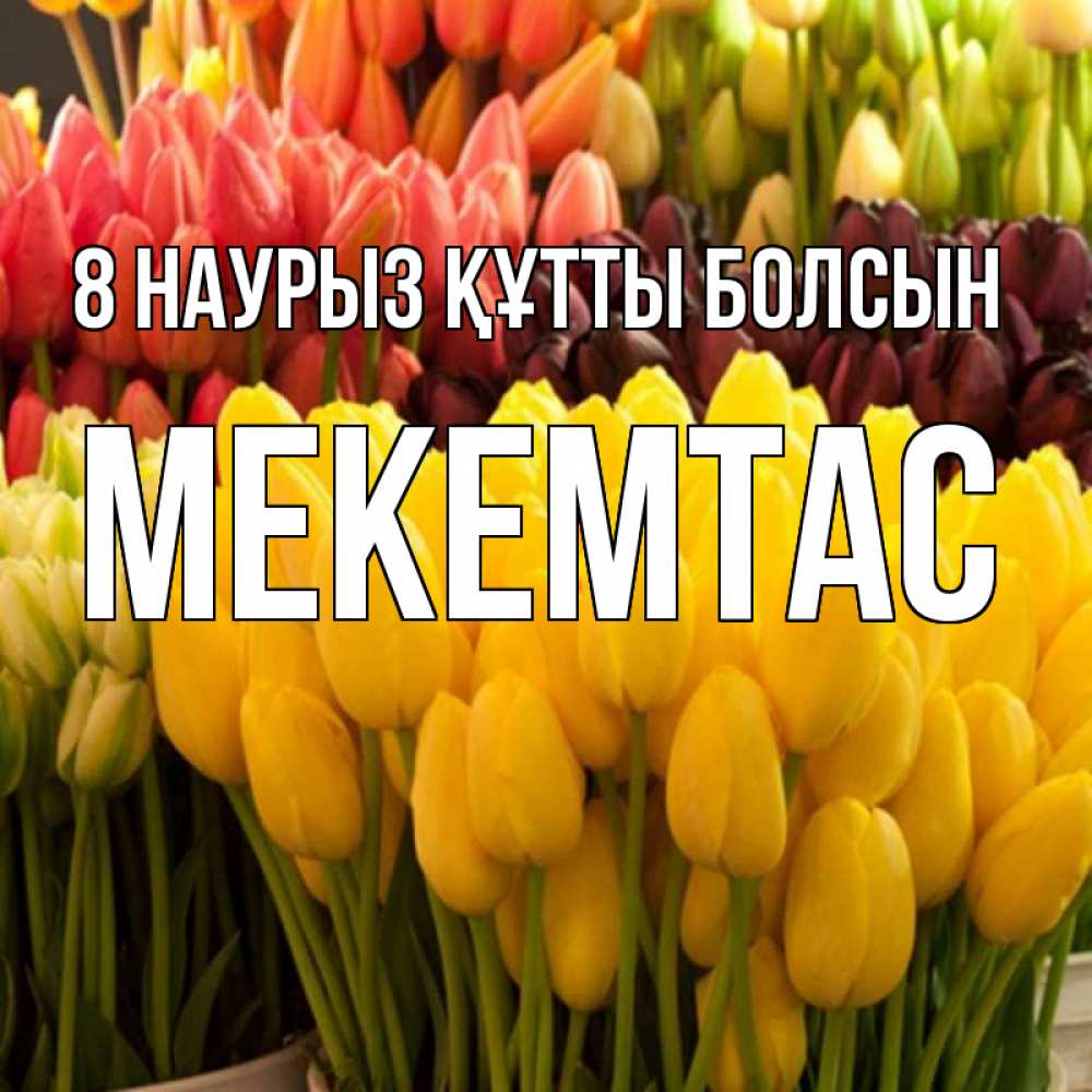 Күн сайын ашық хат с именем, МЕКЕМТАС 8 наурыз құтты болсын цветы Онлайн тегін жүктеп алу тілектері бар керемет карта 