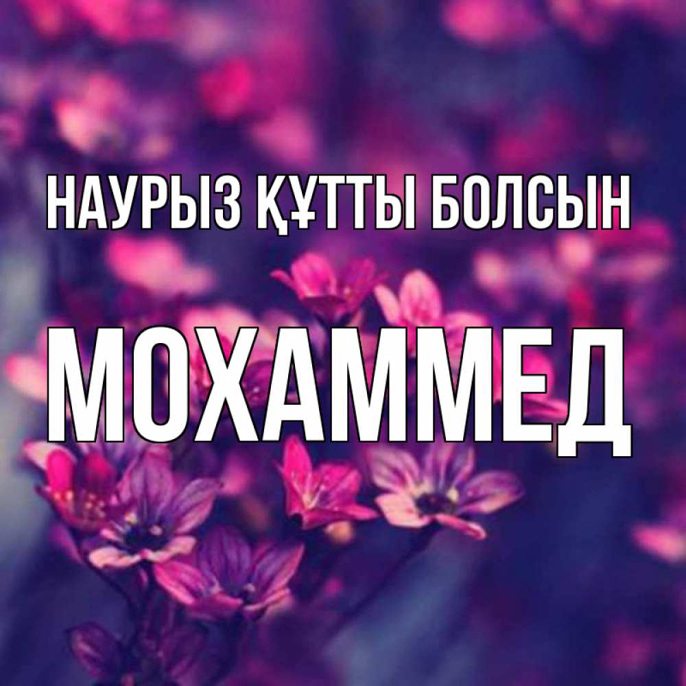 Күн сайын ашық хат с именем, Мохаммед Наурыз құтты болсын небольшие цветы 1 Онлайн тегін жүктеп алу тілектері бар керемет карта 