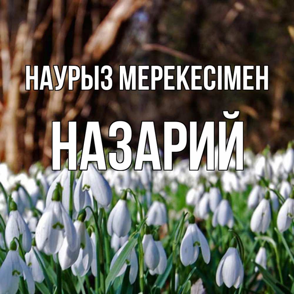 Күн сайын ашық хат с именем, Назарий Наурыз мерекесімен с подснежниками 1 Онлайн тегін жүктеп алу тілектері бар керемет карта 