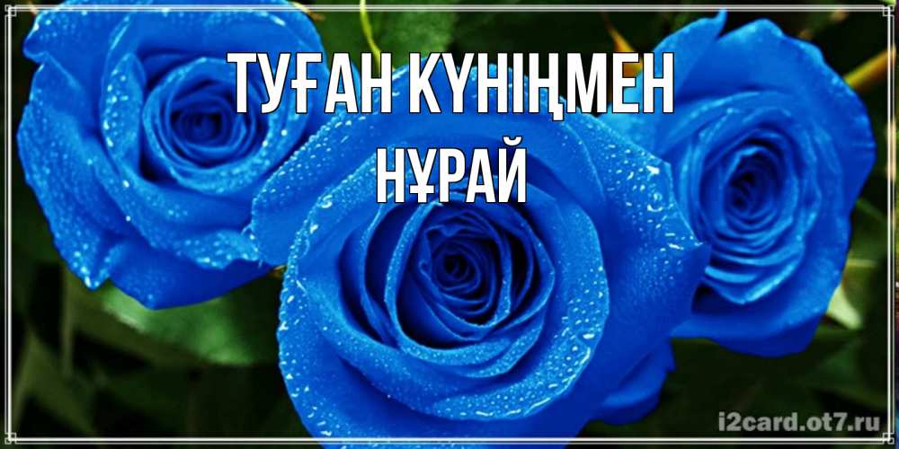 Күн сайын ашық хат с именем, НҰРАЙ Туған күніңмен розы с синим цветом Онлайн тегін жүктеп алу тілектері бар керемет карта 