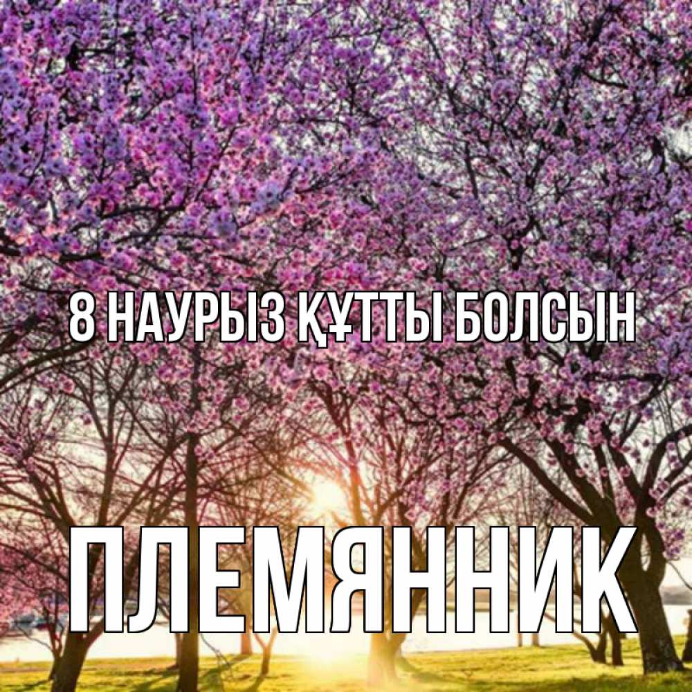 Күн сайын ашық хат с именем, Племянник 8 наурыз құтты болсын международный женский день Онлайн тегін жүктеп алу тілектері бар керемет карта 