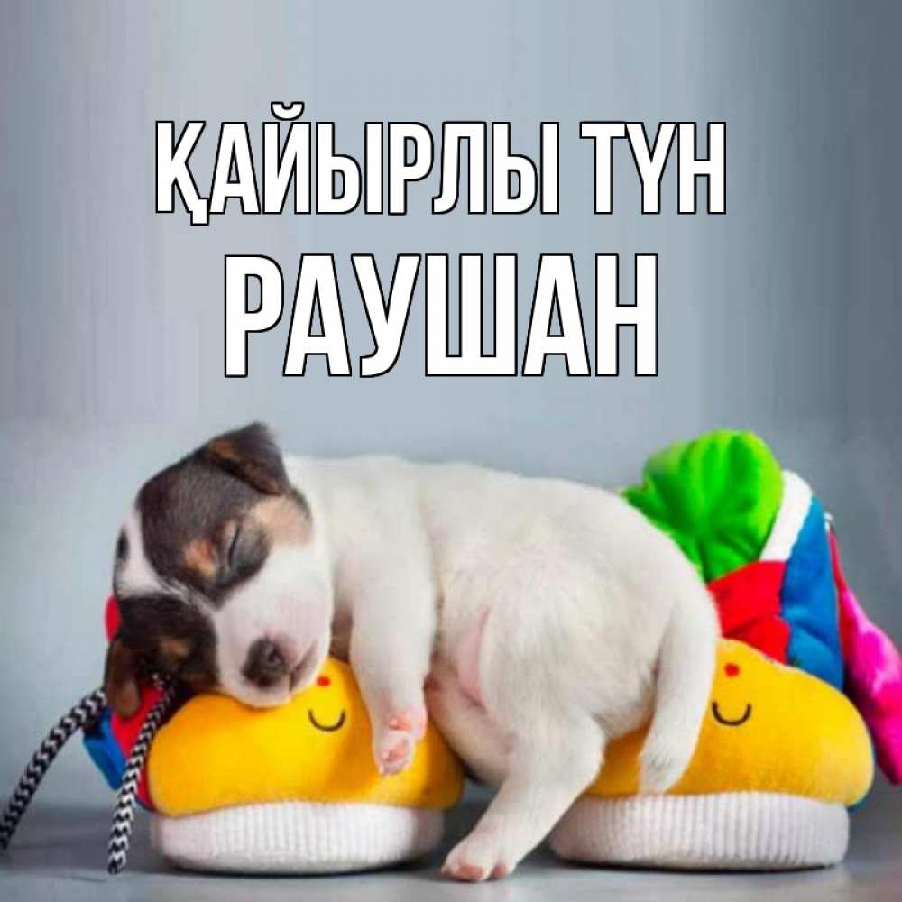 Күн сайын ашық хат с именем, РАУШАН Қайырлы түн собачка Онлайн тегін жүктеп алу тілектері бар керемет карта 