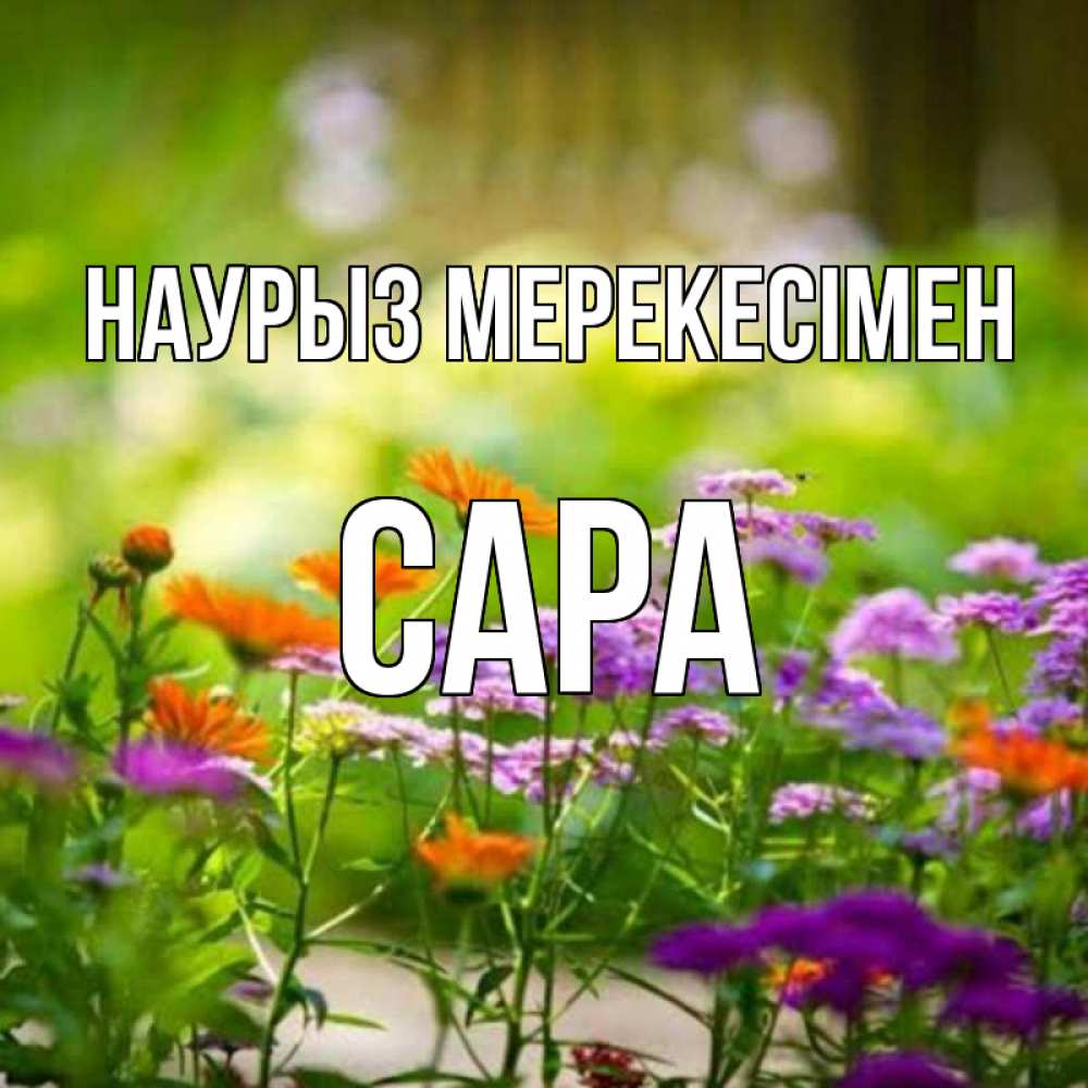 Күн сайын ашық хат с именем, САРА Наурыз мерекесімен цветы Онлайн тегін жүктеп алу тілектері бар керемет карта 