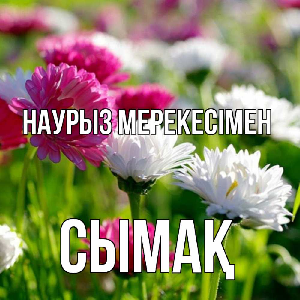 Күн сайын ашық хат с именем, СЫМАҚ Наурыз мерекесімен праздник весны наурыз красота Онлайн тегін жүктеп алу тілектері бар керемет карта 