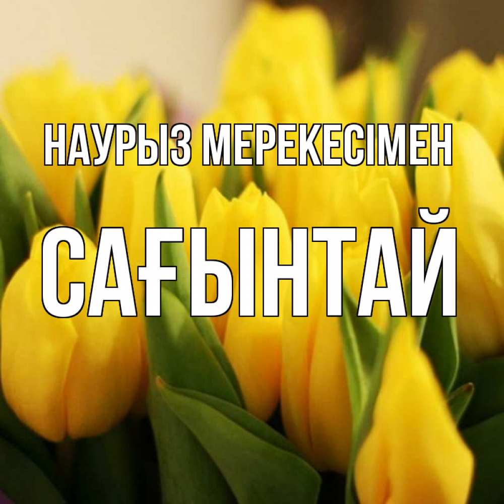 Күн сайын ашық хат с именем, Сағынтай Наурыз мерекесімен цветы Онлайн тегін жүктеп алу тілектері бар керемет карта 