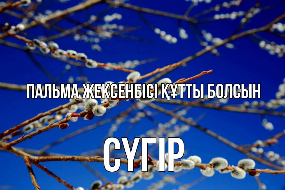 Күн сайын ашық хат с именем, СҮГІР Пальма жексенбісі құтты болсын верба Онлайн тегін жүктеп алу тілектері бар керемет карта 