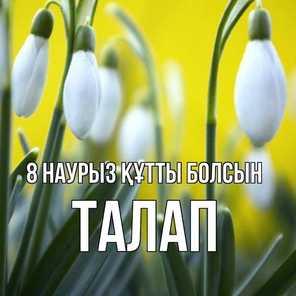 Күн сайын ашық хат с именем, ТАЛАП 8 наурыз құтты болсын весенние цветы Онлайн тегін жүктеп алу тілектері бар керемет карта 