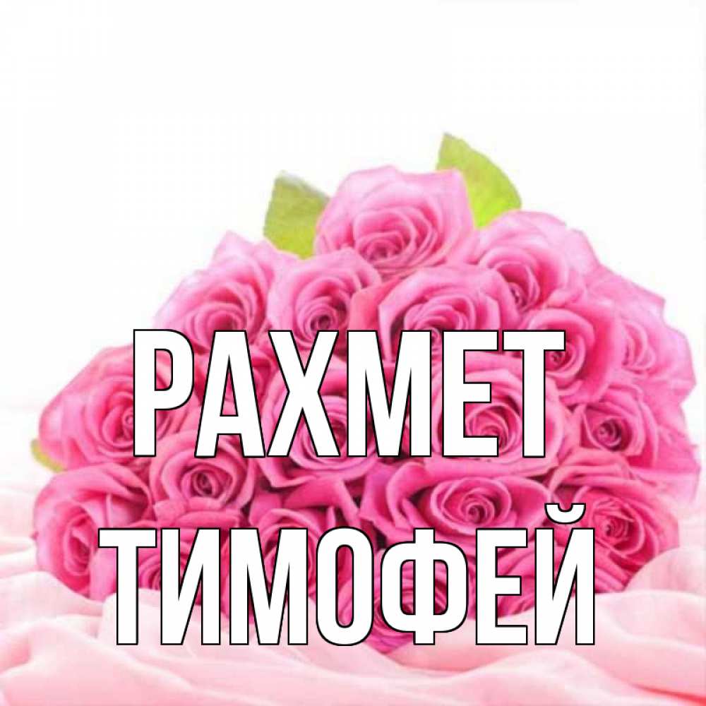 Күн сайын ашық хат с именем, Тимофей рахмет розовые розы с подписью Онлайн тегін жүктеп алу тілектері бар керемет карта 