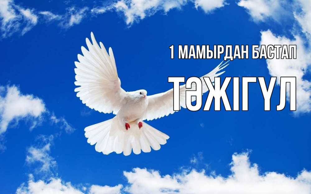 Күн сайын ашық хат с именем, ТӘЖІГҮЛ 1 мамырдан бастап С 1 мая 1 Онлайн тегін жүктеп алу тілектері бар керемет карта 