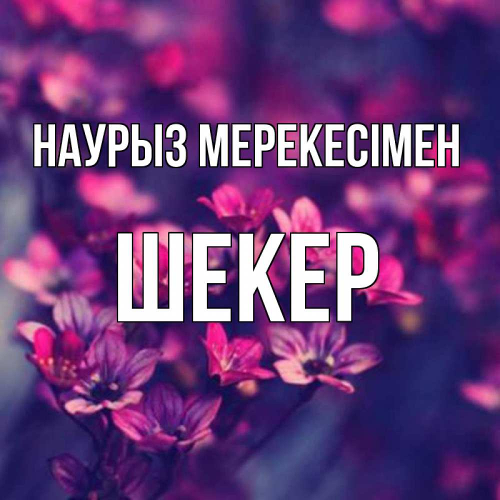 Күн сайын ашық хат с именем, ШЕКЕР Наурыз мерекесімен небольшие цветы 1 Онлайн тегін жүктеп алу тілектері бар керемет карта 