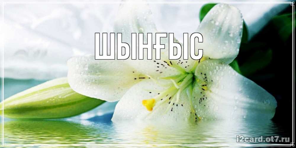 Картинка  с именем , ШЫНҒЫС! ТУҒАН КҮНІҢМЕН!