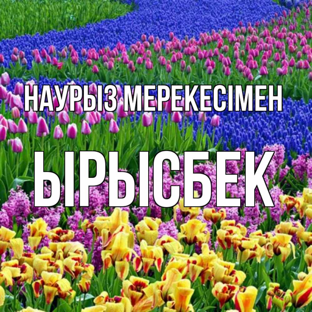 Күн сайын ашық хат с именем, ЫРЫСБЕК Наурыз мерекесімен цветы Онлайн тегін жүктеп алу тілектері бар керемет карта 