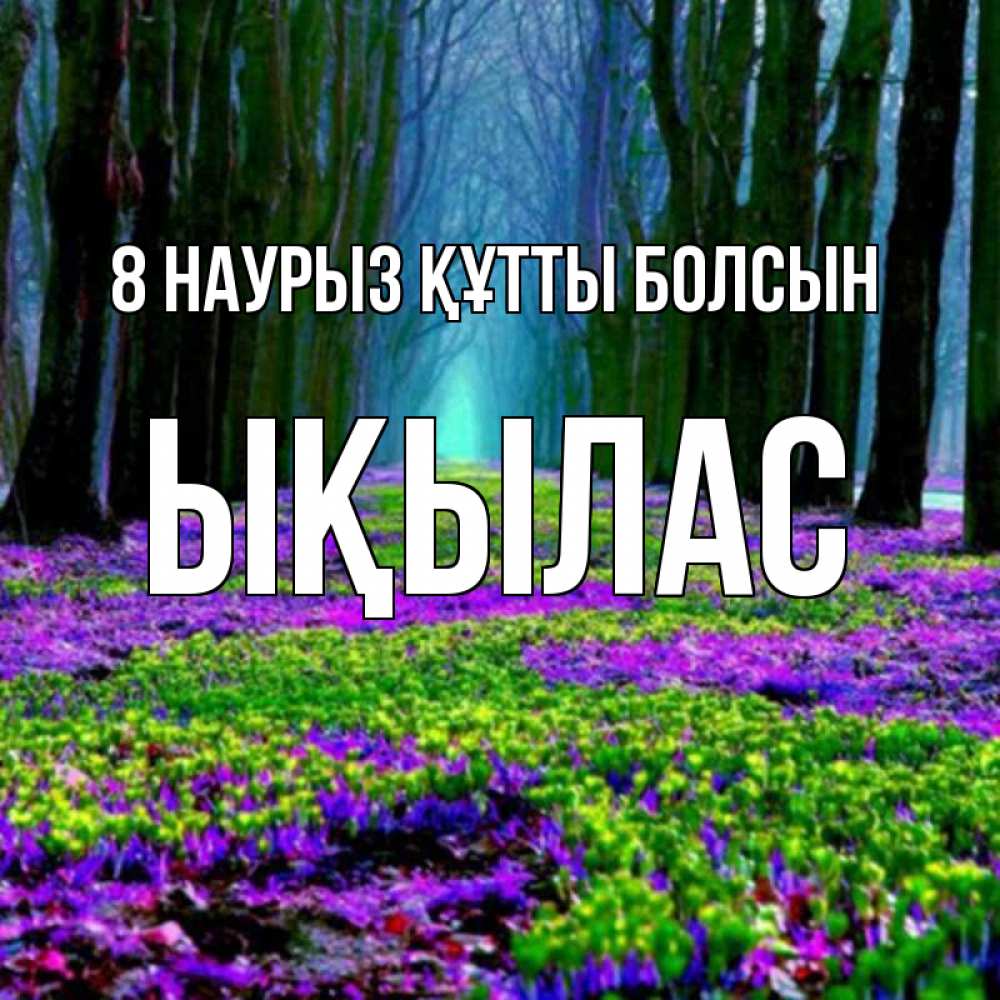 Күн сайын ашық хат с именем, ЫҚЫЛАС 8 наурыз құтты болсын фиолетовые цветы в лесу 1 Онлайн тегін жүктеп алу тілектері бар керемет карта 