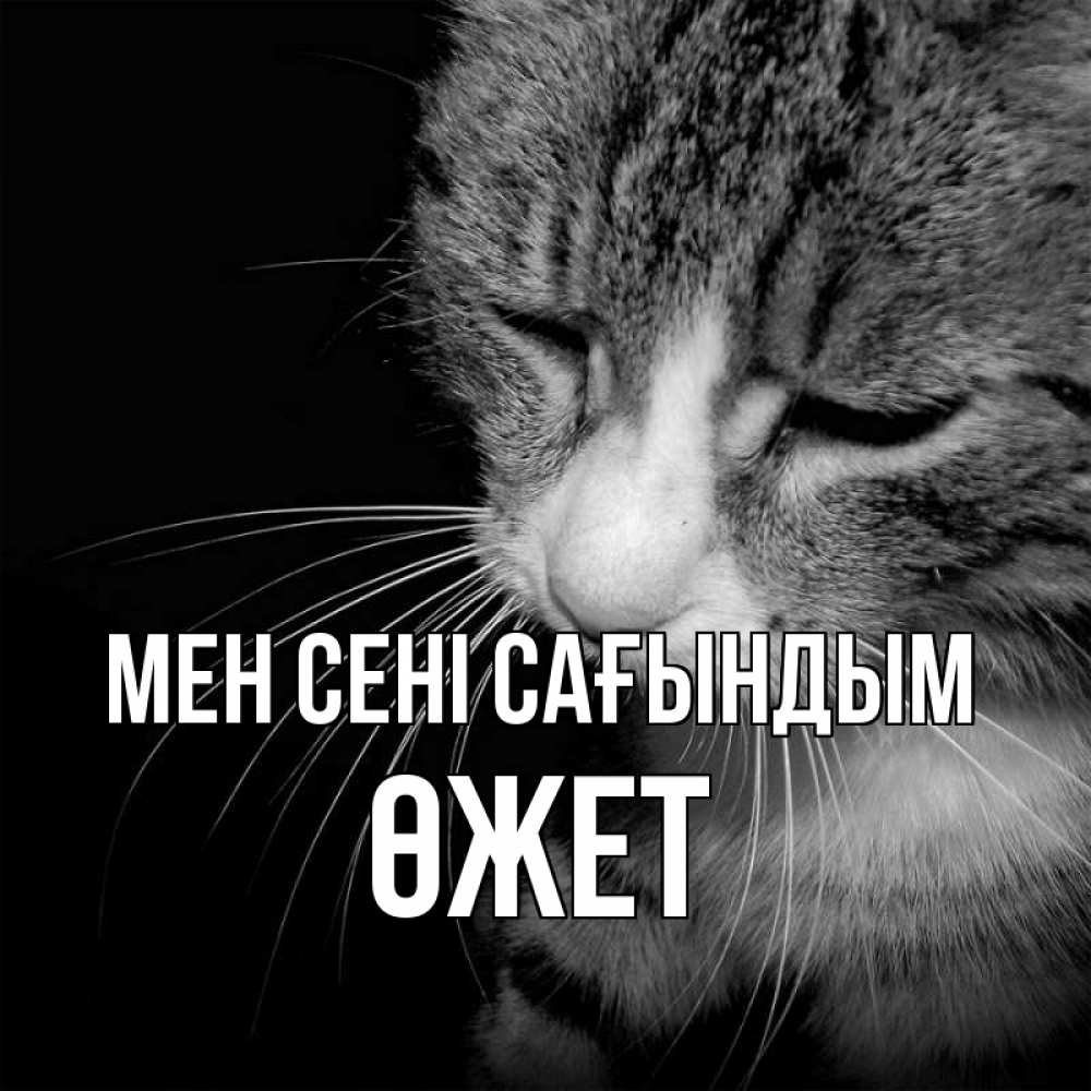 Күн сайын ашық хат с именем, ӨЖЕТ Мен сені сағындым мне скучно Онлайн тегін жүктеп алу тілектері бар керемет карта 